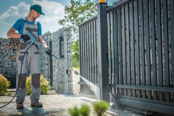 Best Graffiti Removal  in Sandusky, MI