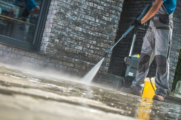 Best Soft Washing  in Sandusky, MI