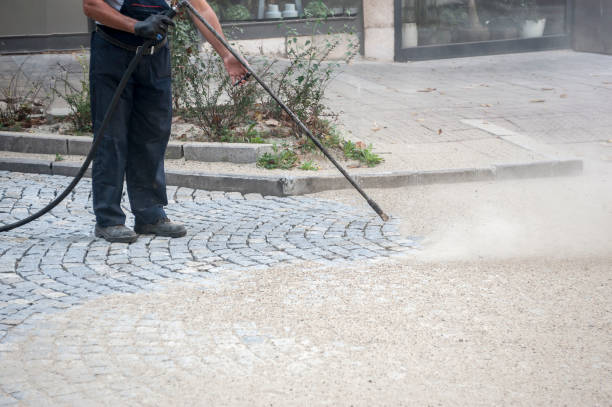 Best Animal Enclosure Cleaning  in Sandusky, MI